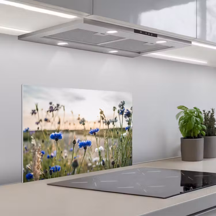 Kitchen splashback for hob - Summer evening with Cornflowers — 1