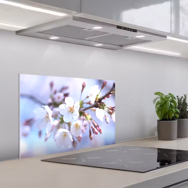 Kitchen splashback for hob - Flowers - Sakura - Branch - Blossom branches — 1