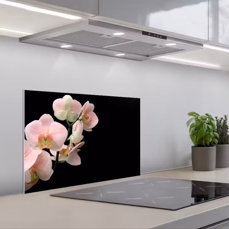 Kitchen splashback for hob - Orchid - Flowers - Pink - Still life - Flora — 1