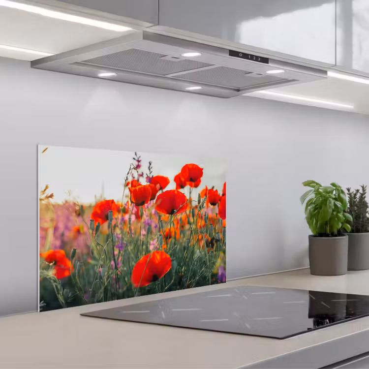 Kitchen splashback for hob - Poppy - Flowers - Red - Purple - Meadow — 1