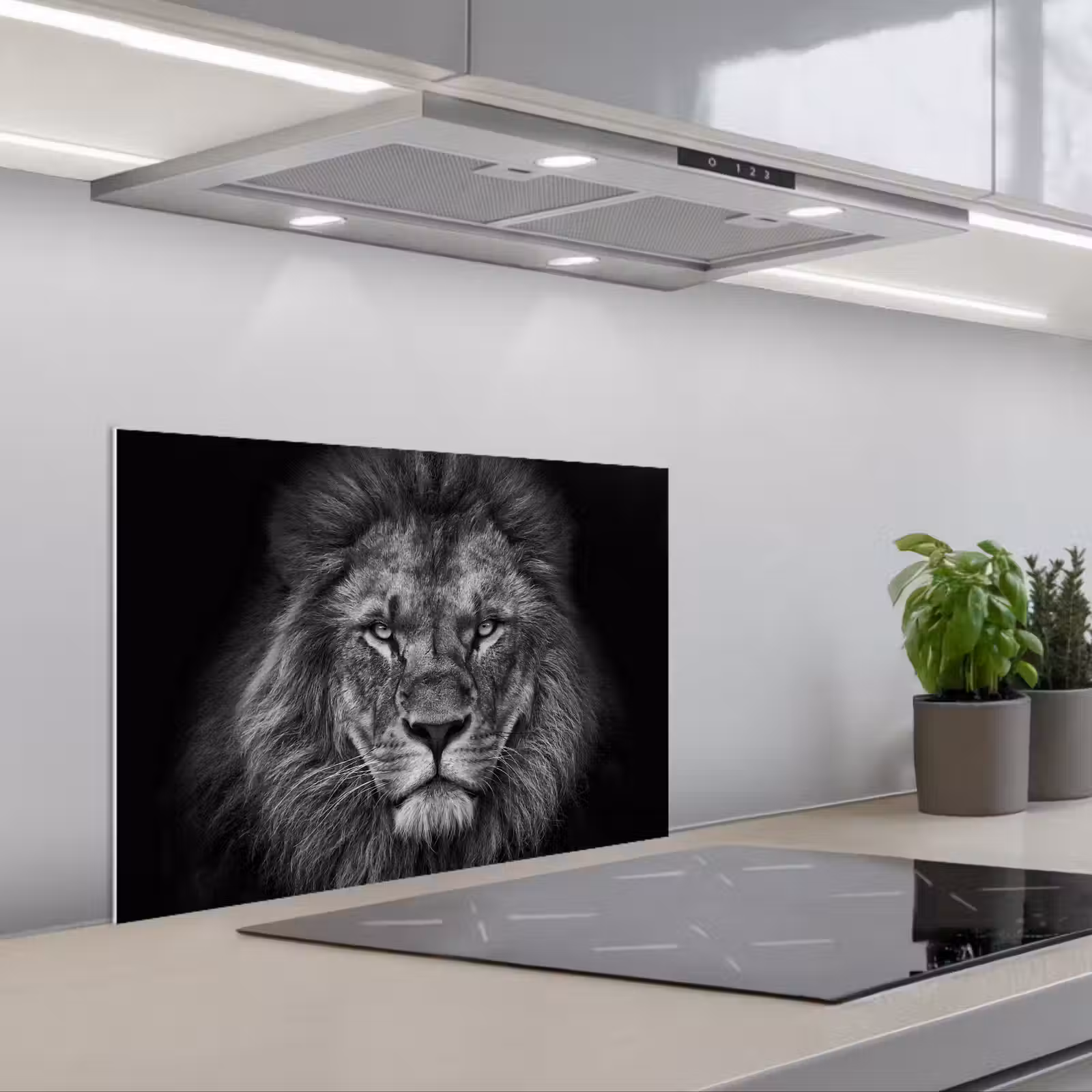 Kitchen splashback for hob - Lion - Animals - Black - White — 1