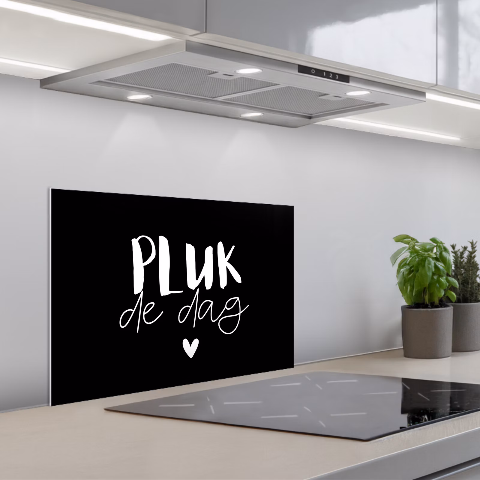 Kitchen splashback for hob - Quotes - Seize the day - Proverbs - Carpe diem - Happiness — 1