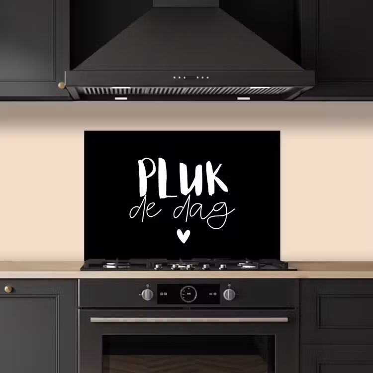Kitchen splashback for hob - Quotes - Seize the day - Proverbs - Carpe diem - Happiness — 5