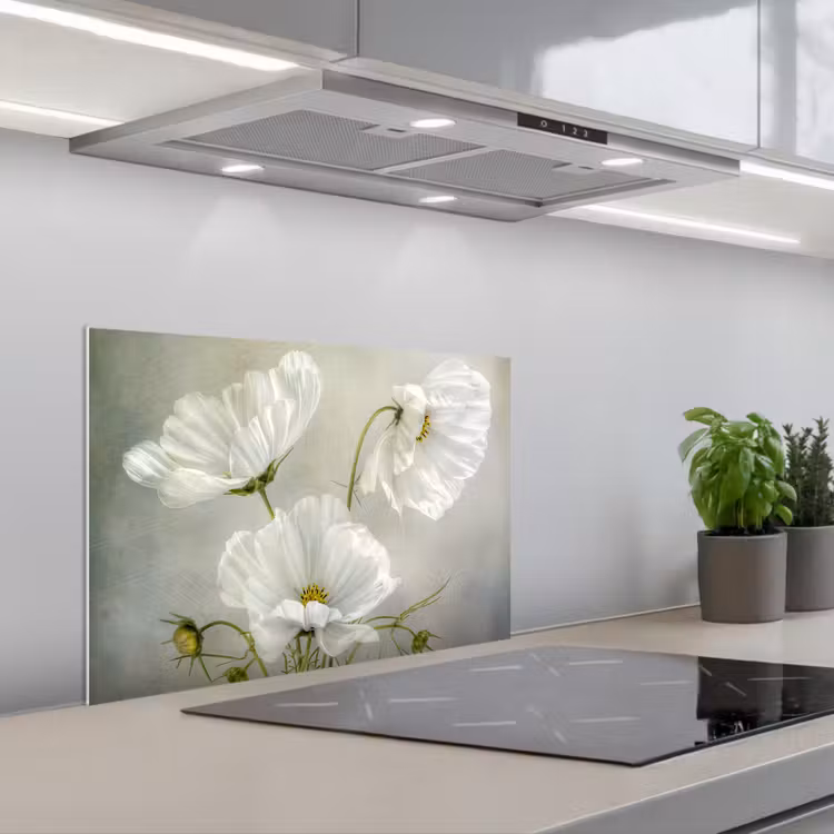 Kitchen splashback for hob - Flowers - Still Life - Poppy - White - Botanical — 1