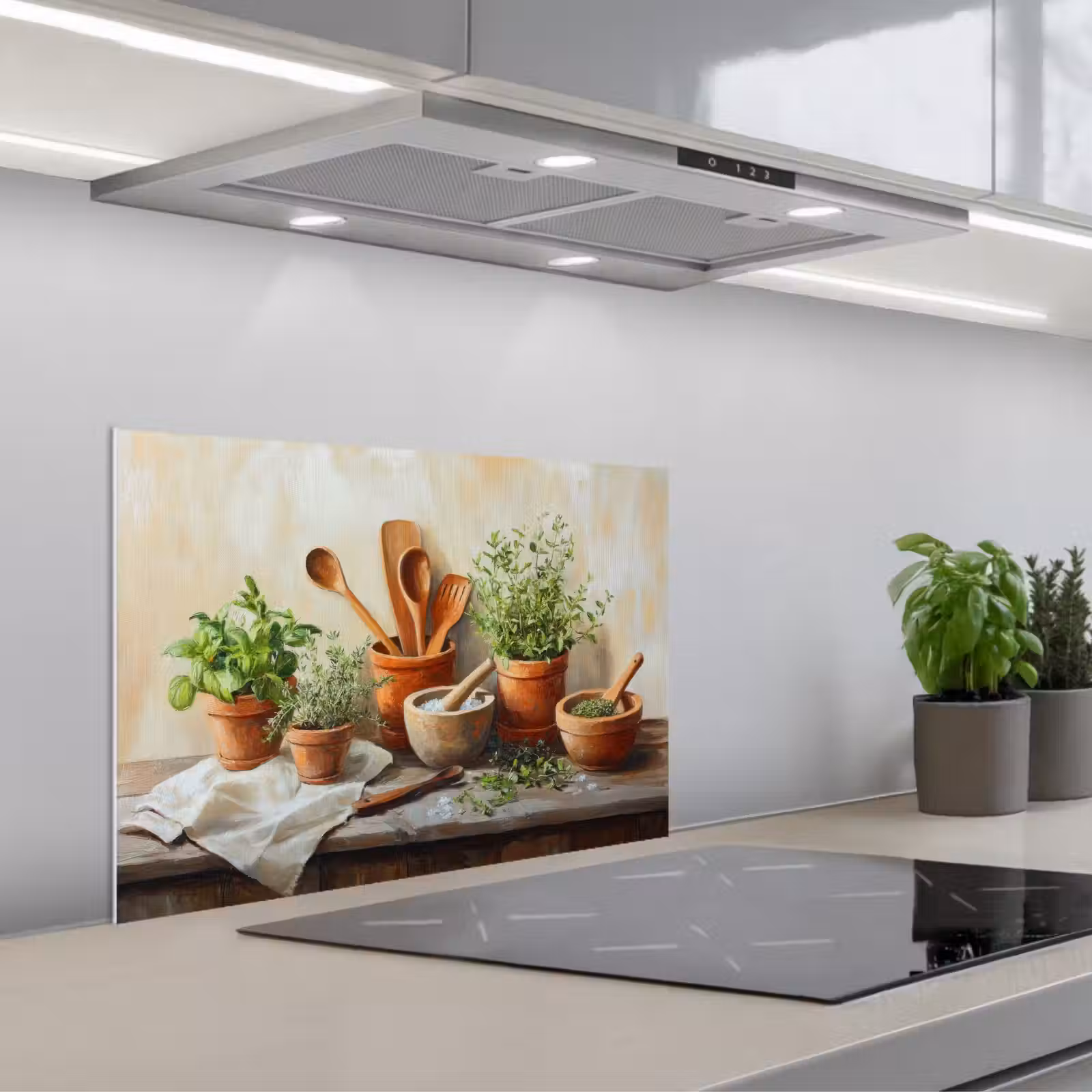 Kitchen splashback for hob - Pots - Herbs - Wood — 1