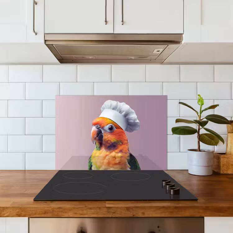 Kitchen splashback for hob - Parrot - Cook's hat - Curious - Bird — 3