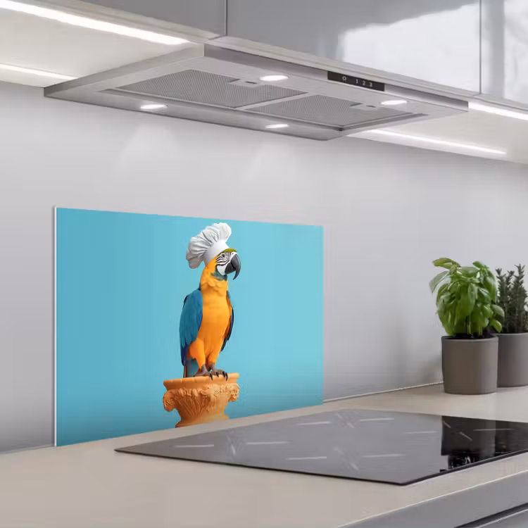 Kitchen splashback for hob - Parrot - Cook's hat - Funny - Bird — 1