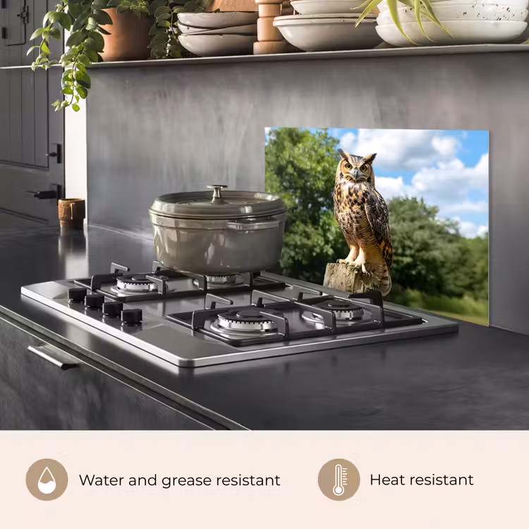 Kitchen splashback for hob - Owl - Trunk - Forest - Sky — 2