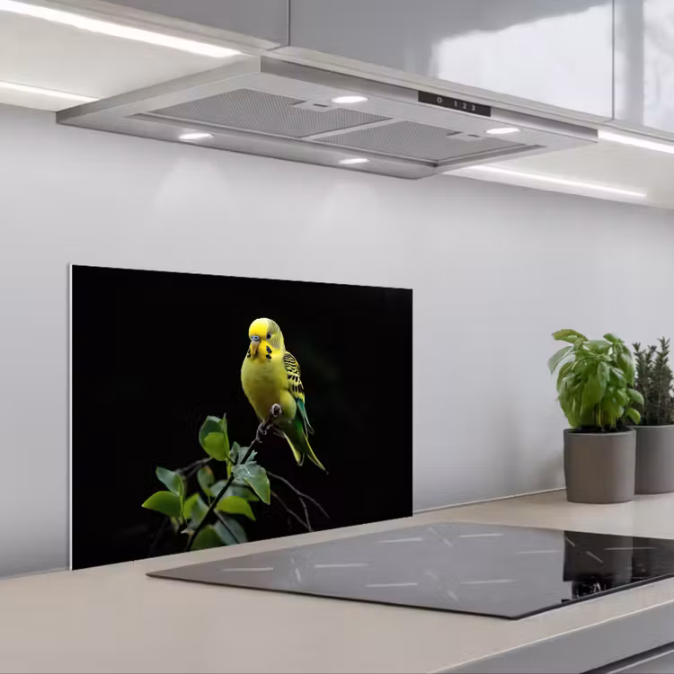 Kitchen splashback for hob - Parakeet - Branch - Leaves - Yellow — 1