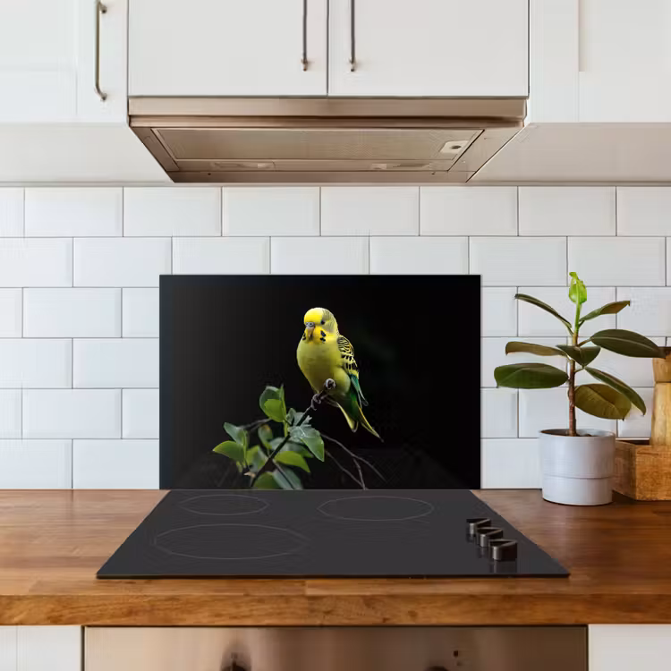 Kitchen splashback for hob - Parakeet - Branch - Leaves - Yellow — 3