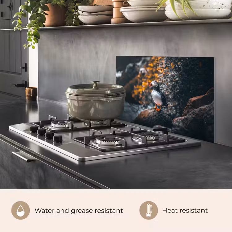 Kitchen splashback for hob - Parrot - Bird - Rock - White — 2