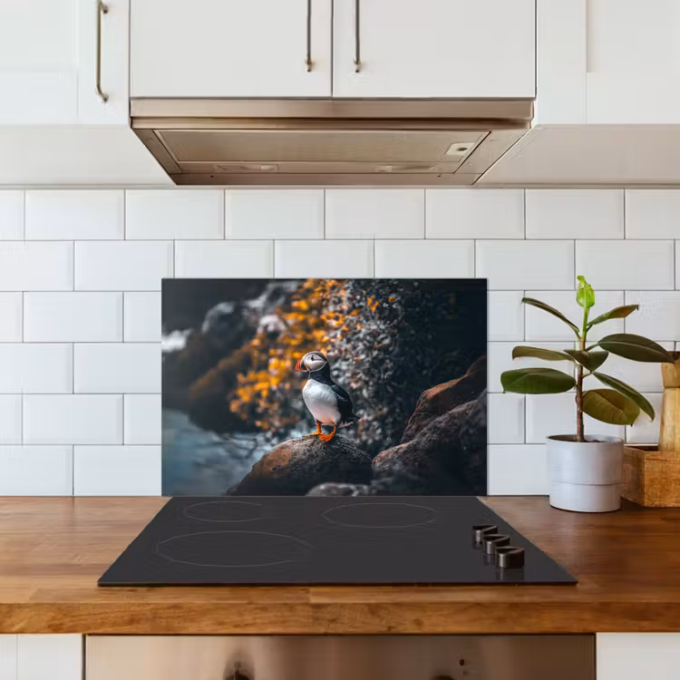 Kitchen splashback for hob - Parrot - Bird - Rock - White — 3