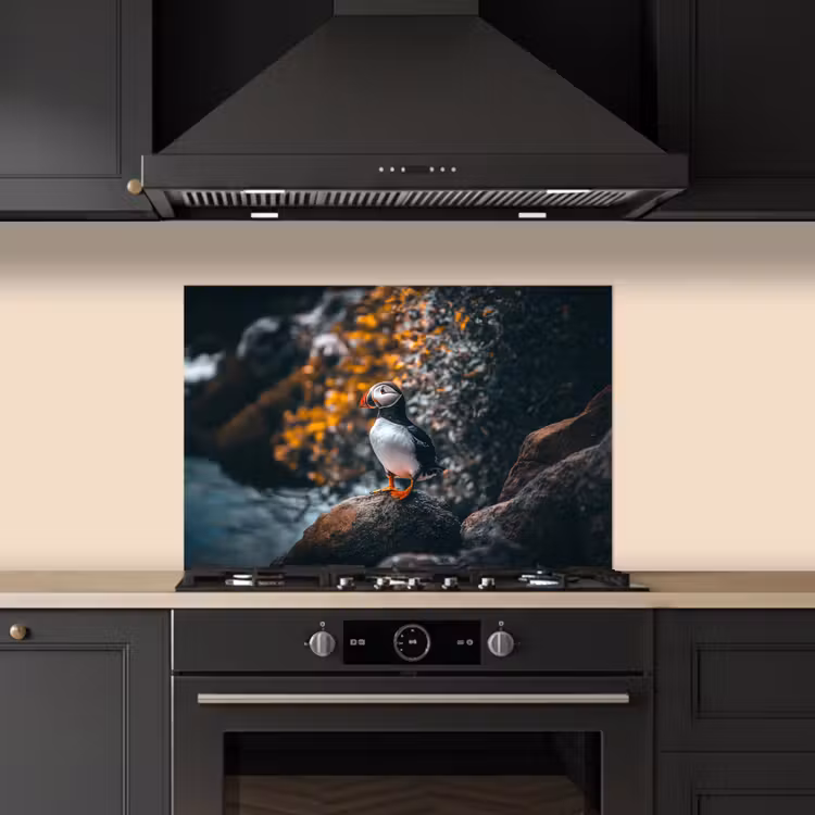 Kitchen splashback for hob - Parrot - Bird - Rock - White — 5