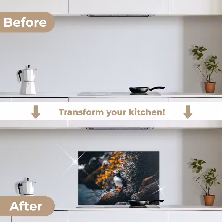 Kitchen splashback for hob - Parrot - Bird - Rock - White — 7