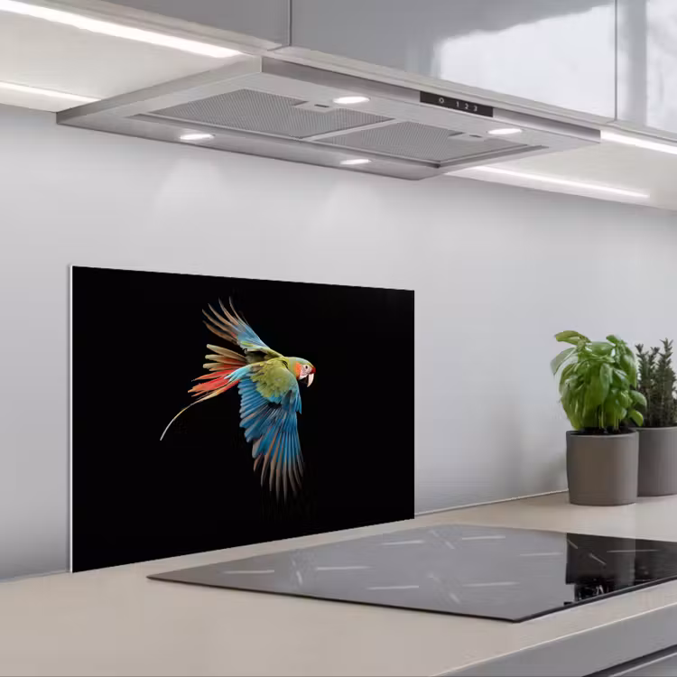 Kitchen splashback for hob - Parrot - Colorful - Wings - Ornate — 1