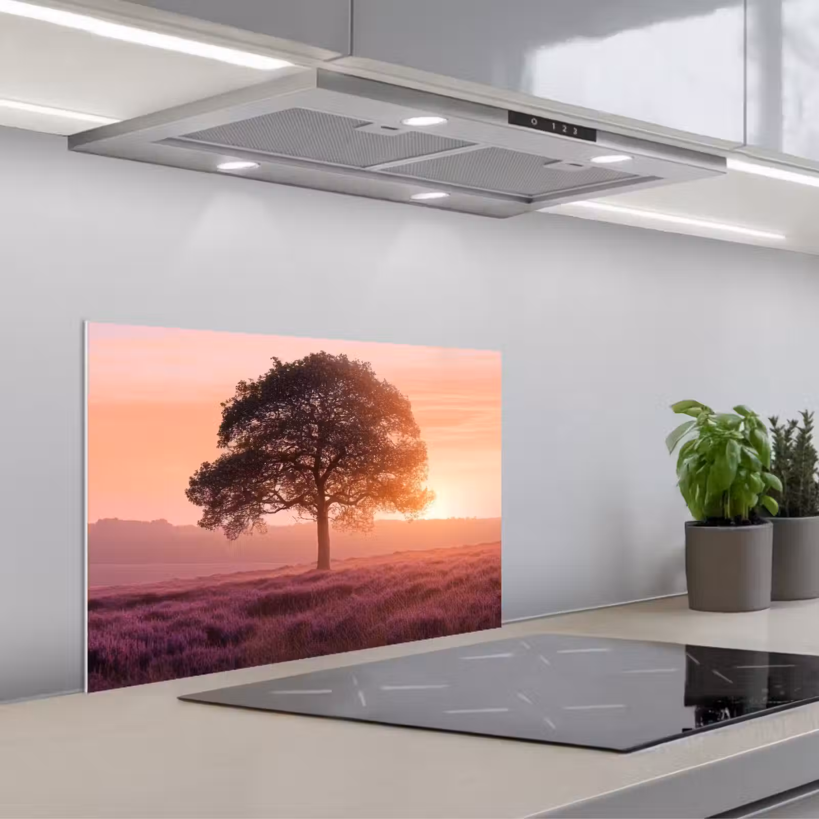 Kitchen splashback for hob - Tree - Heather - Sunrise — 1