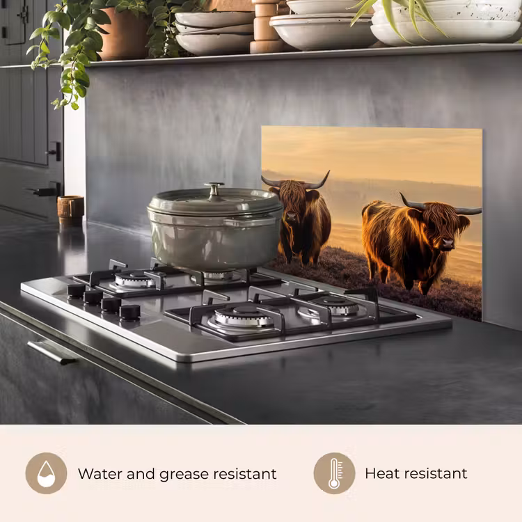 Kitchen splashback for hob - Scottish highlanders - Heath - Landscape - Animals — 2