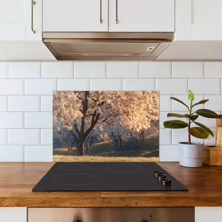 Kitchen splashback for hob - Trees - Blossom - Spring — 3