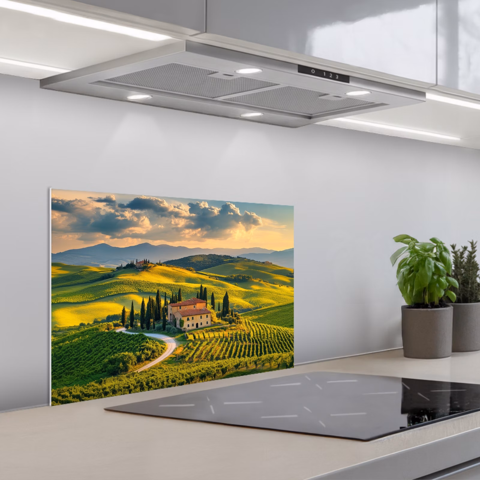 Kitchen splashback for hob - Tuscany - Landscape - Vineyards — 1