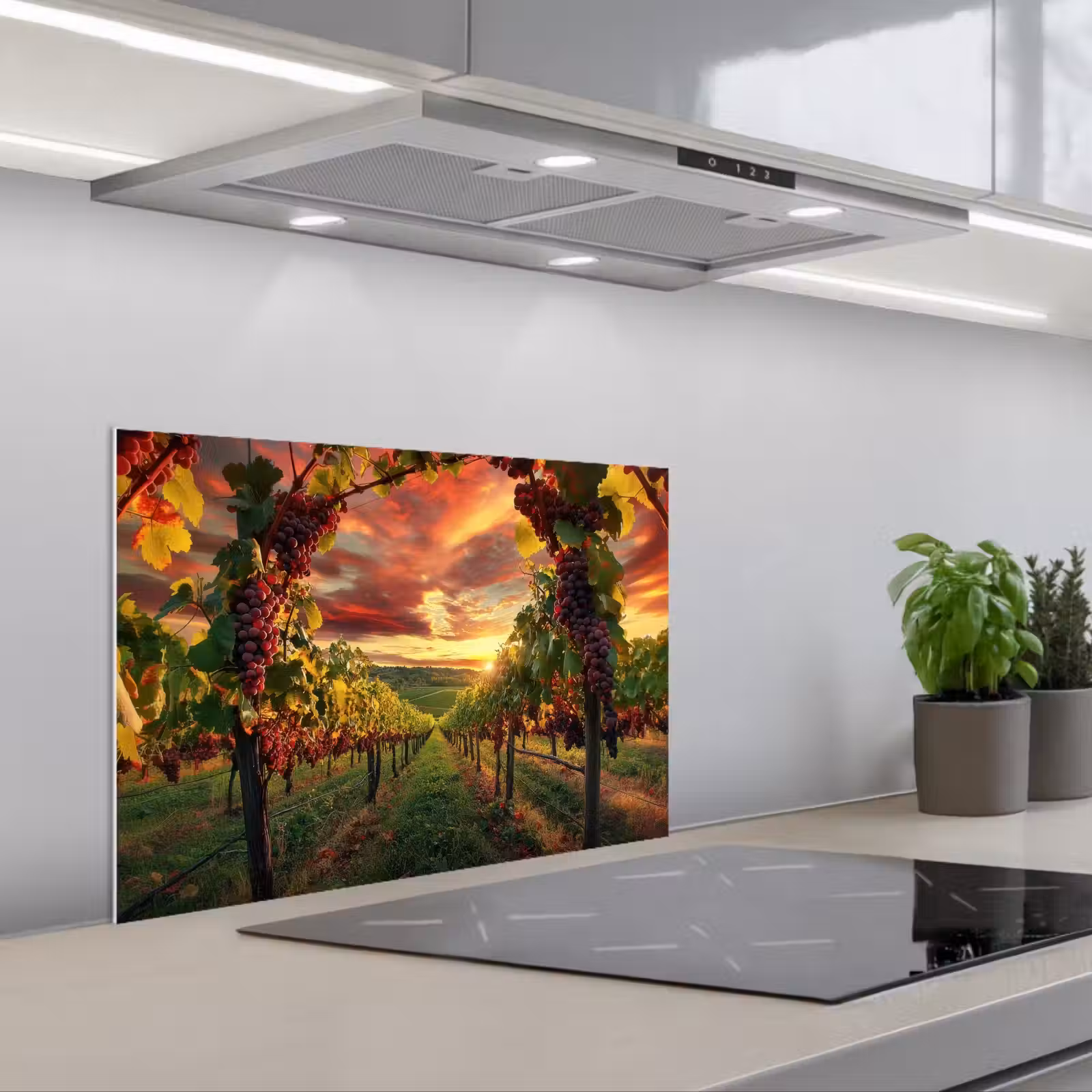 Kitchen splashback for hob - Vineyard - Grapes - Sunset — 1