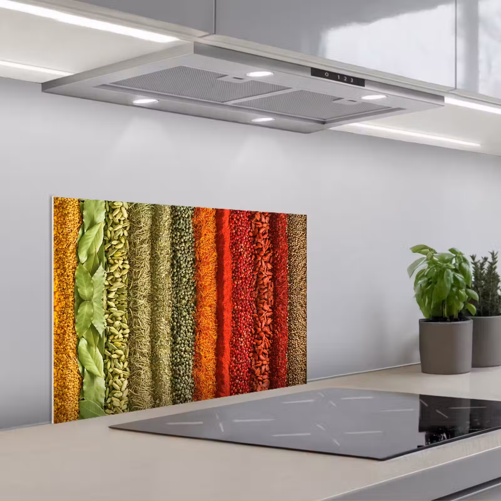 Kitchen splashback for hob - Herbs - Spices - Colorful — 1