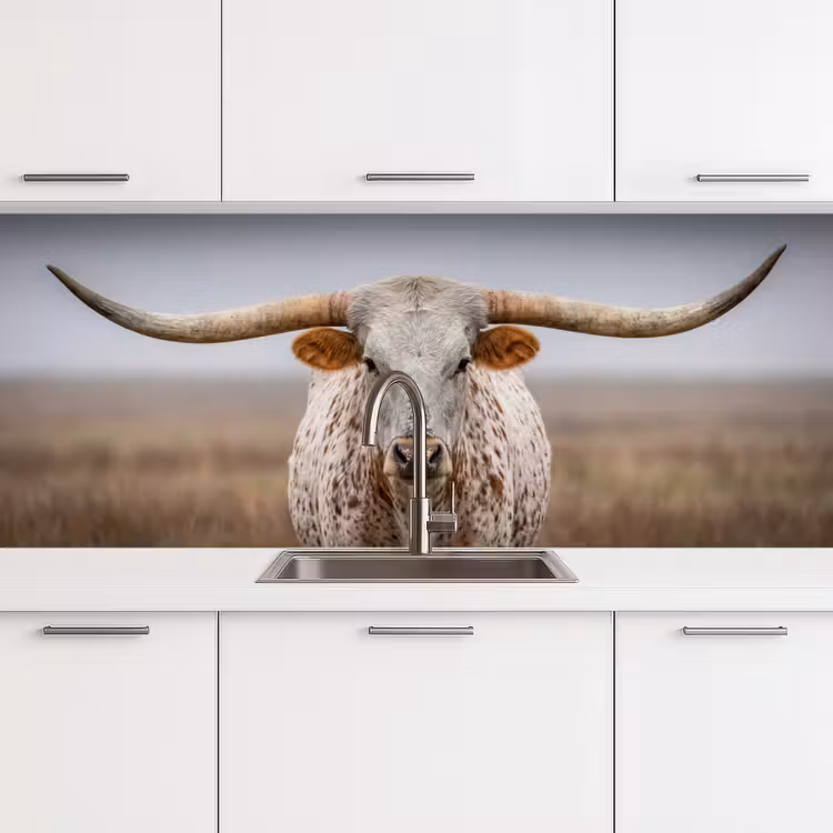 Kitchen splashback - Longhorn - Grass Field - Animal — 4