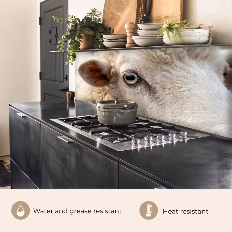 Kitchen splashback - Sheep - Eye - White — 5