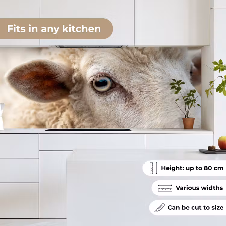 Kitchen splashback - Sheep - Eye - White — 7