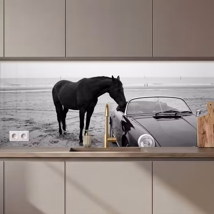 Kitchen splashback - Horse - Car - Black - White — 1