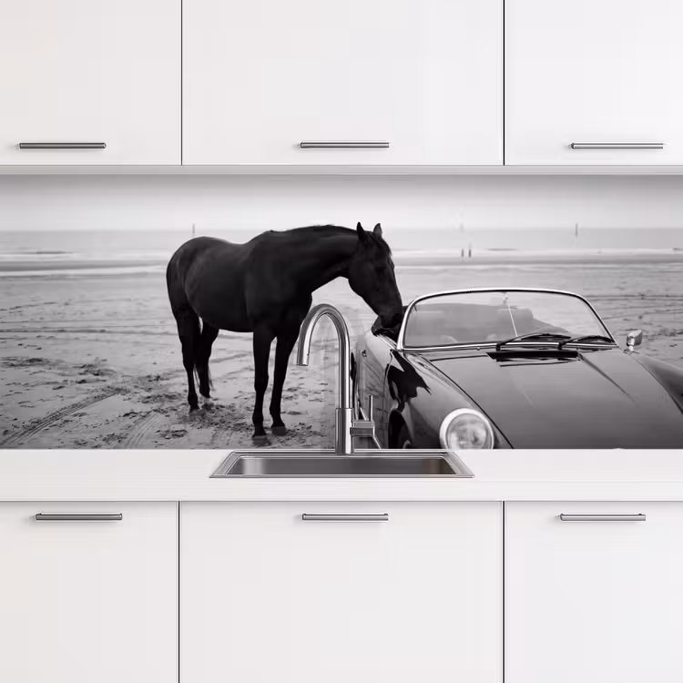 Kitchen splashback - Horse - Car - Black - White — 4