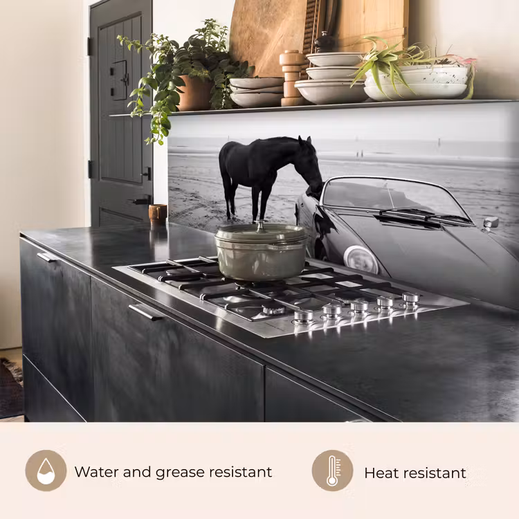 Kitchen splashback - Horse - Car - Black - White — 5