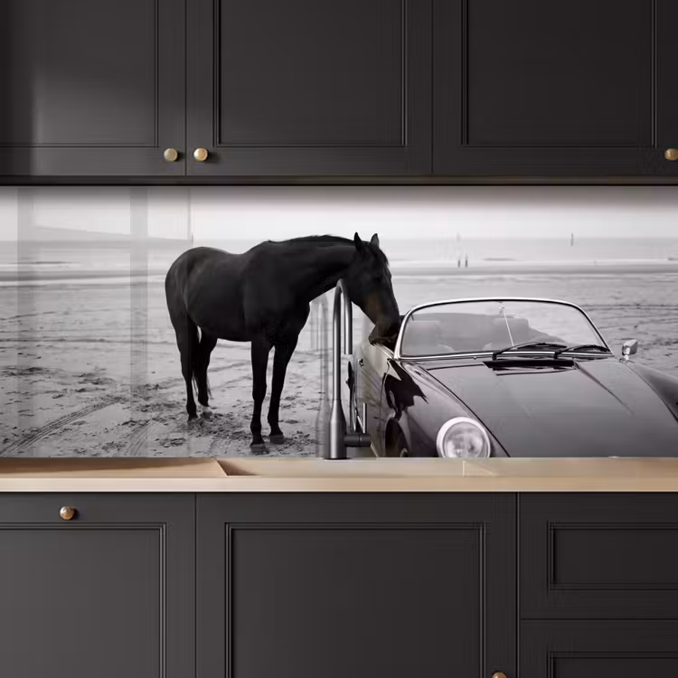 Kitchen splashback - Horse - Car - Black - White — 6