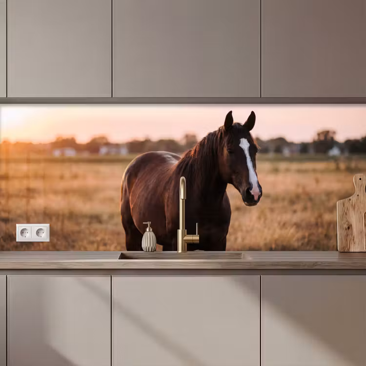 Kitchen splashback - Horse - Sunset - Brown — 1