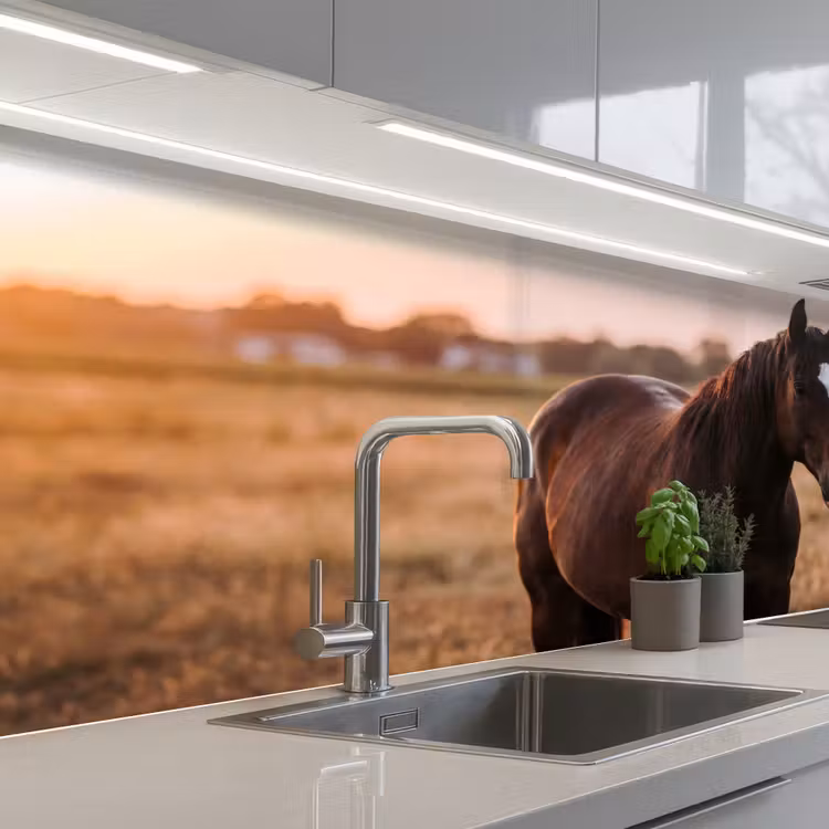 Kitchen splashback - Horse - Sunset - Brown — 2