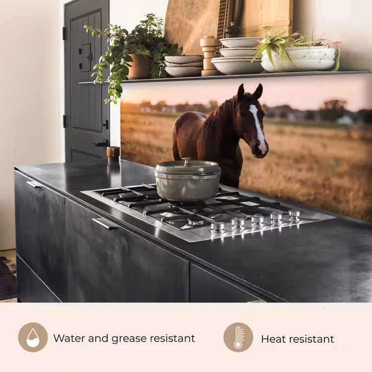 Kitchen splashback - Horse - Sunset - Brown — 5