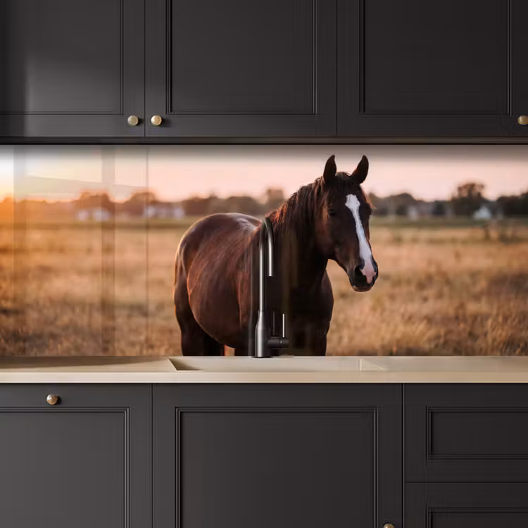 Kitchen splashback - Horse - Sunset - Brown — 6