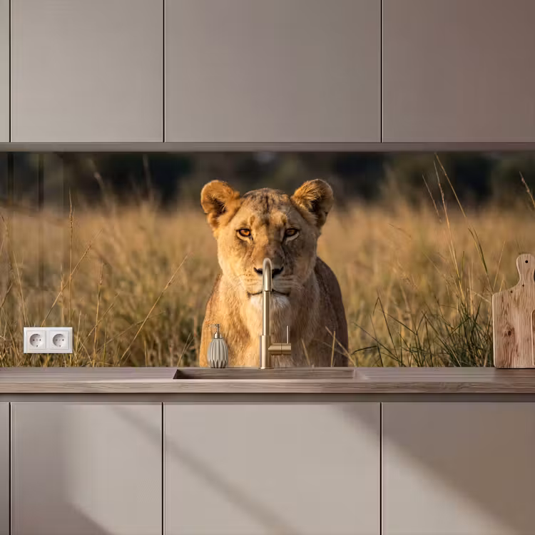 Kitchen splashback - Lioness - Grass - Yellow — 1