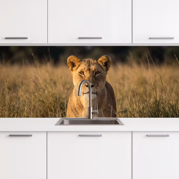 Kitchen splashback - Lioness - Grass - Yellow — 4