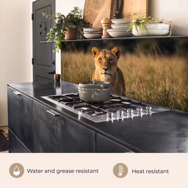 Kitchen splashback - Lioness - Grass - Yellow — 5