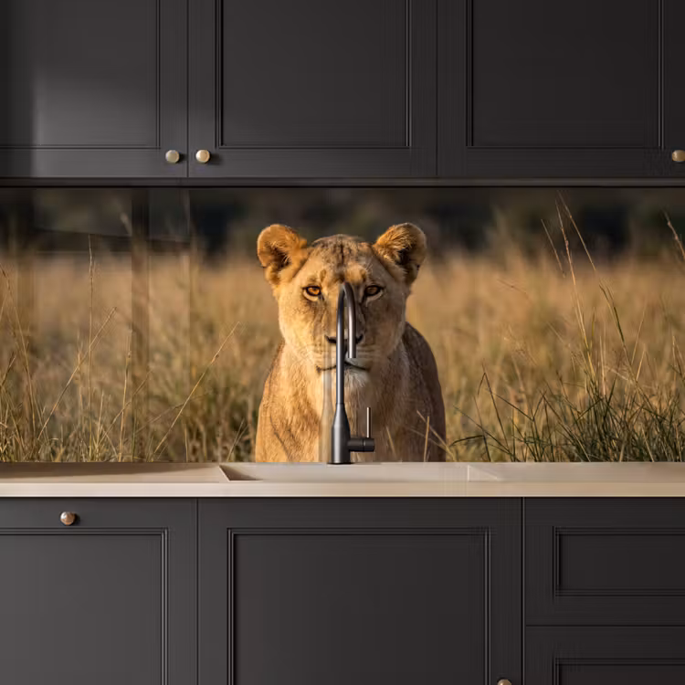Kitchen splashback - Lioness - Grass - Yellow — 6