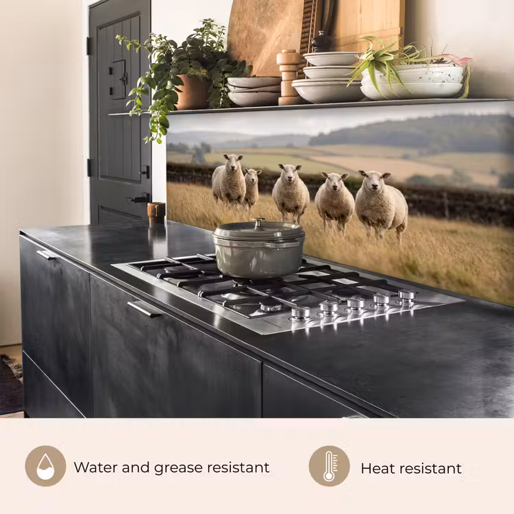 Kitchen splashback - Sheep - Pasture landscape - Hills — 5