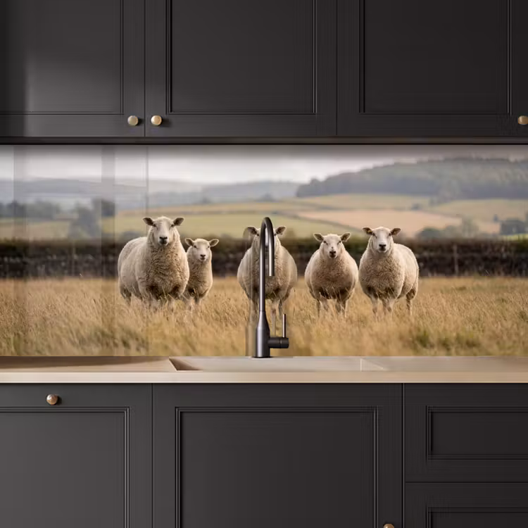 Kitchen splashback - Sheep - Pasture landscape - Hills — 6