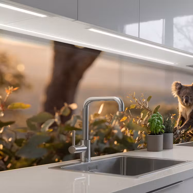 Kitchen splashback - Koala - Leaves - Morning light — 2