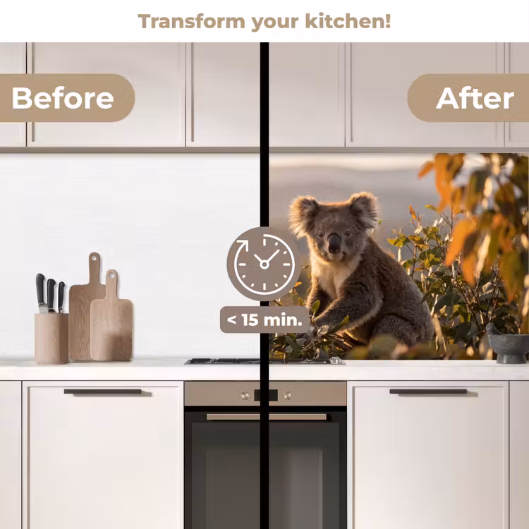 Kitchen splashback - Koala - Leaves - Morning light — 3