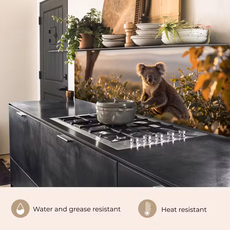 Kitchen splashback - Koala - Leaves - Morning light — 5