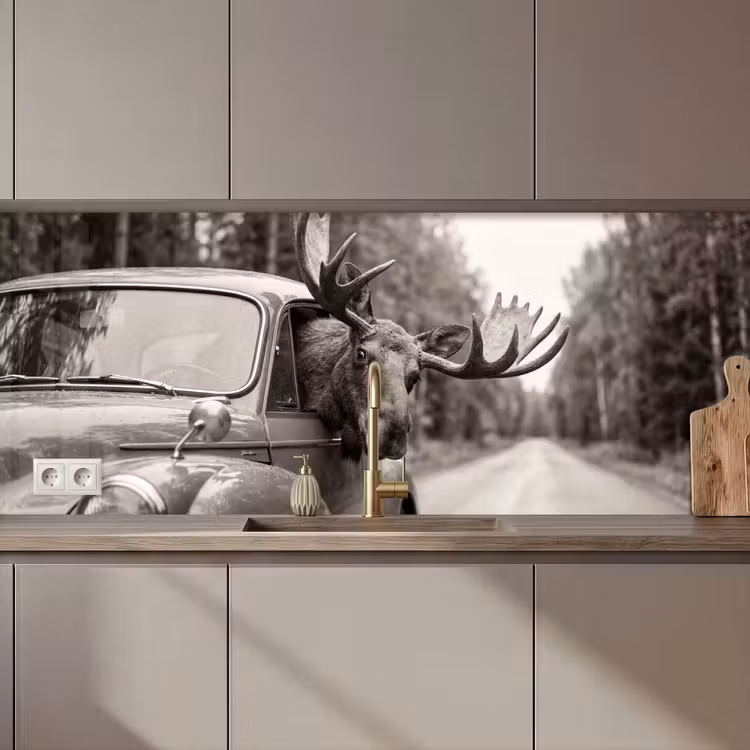 Kitchen splashback - Moose - Car - Antlers - Black - White — 1