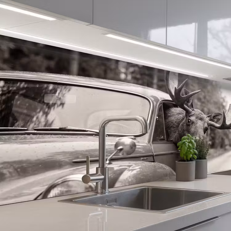 Kitchen splashback - Moose - Car - Antlers - Black - White — 2