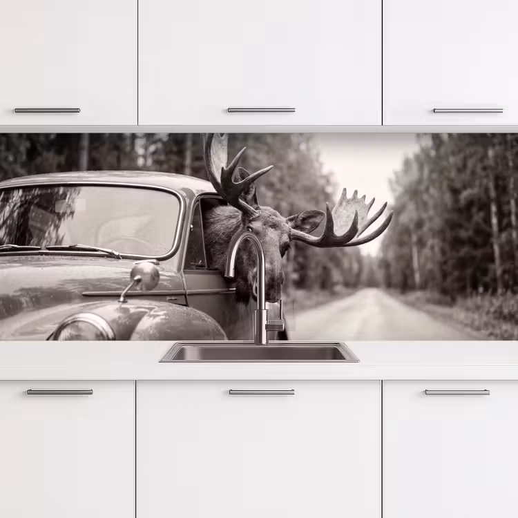 Kitchen splashback - Moose - Car - Antlers - Black - White — 4