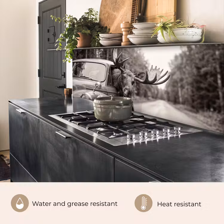 Kitchen splashback - Moose - Car - Antlers - Black - White — 5