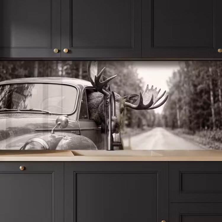 Kitchen splashback - Moose - Car - Antlers - Black - White — 6